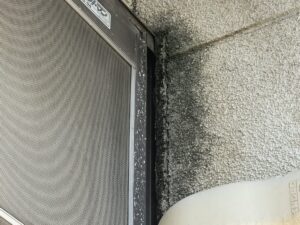 外壁　汚れ