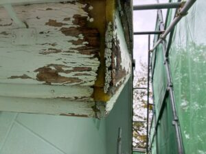 ドライフレックス