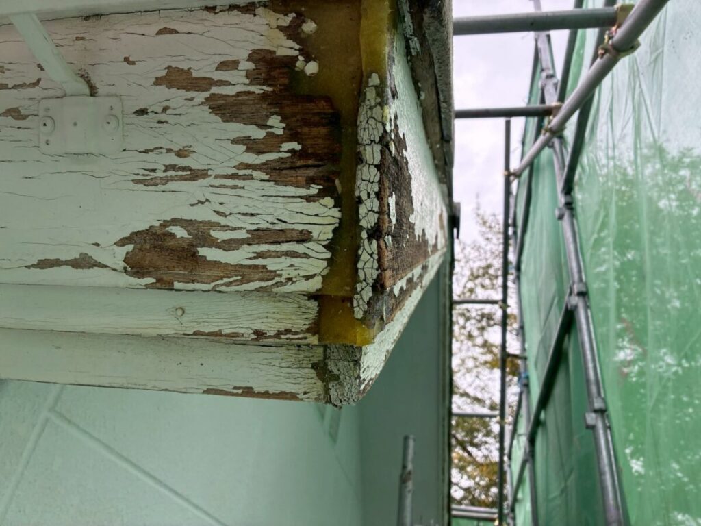 ドライフレックス