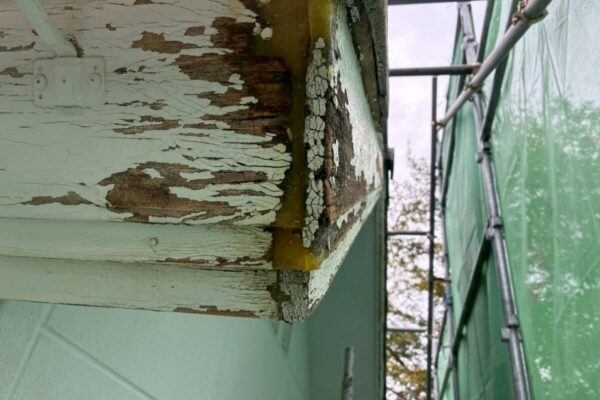 ドライフレックス