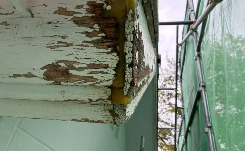 ドライフレックス